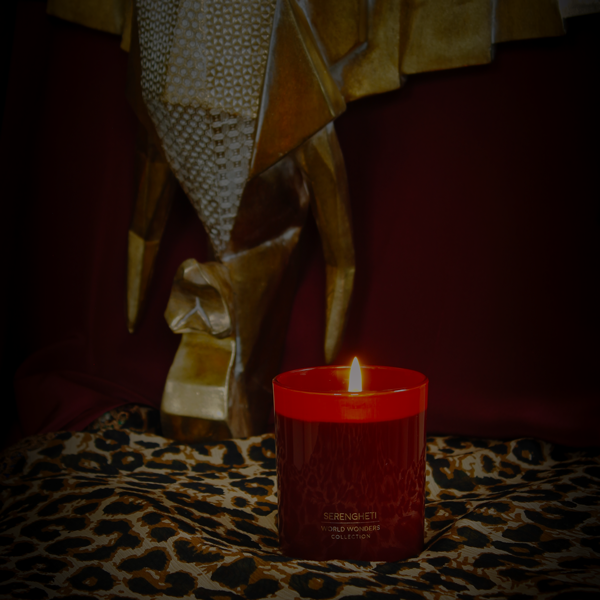 World Wonders Serengheti 410 gram sojakaars | My Flame Lifestyle