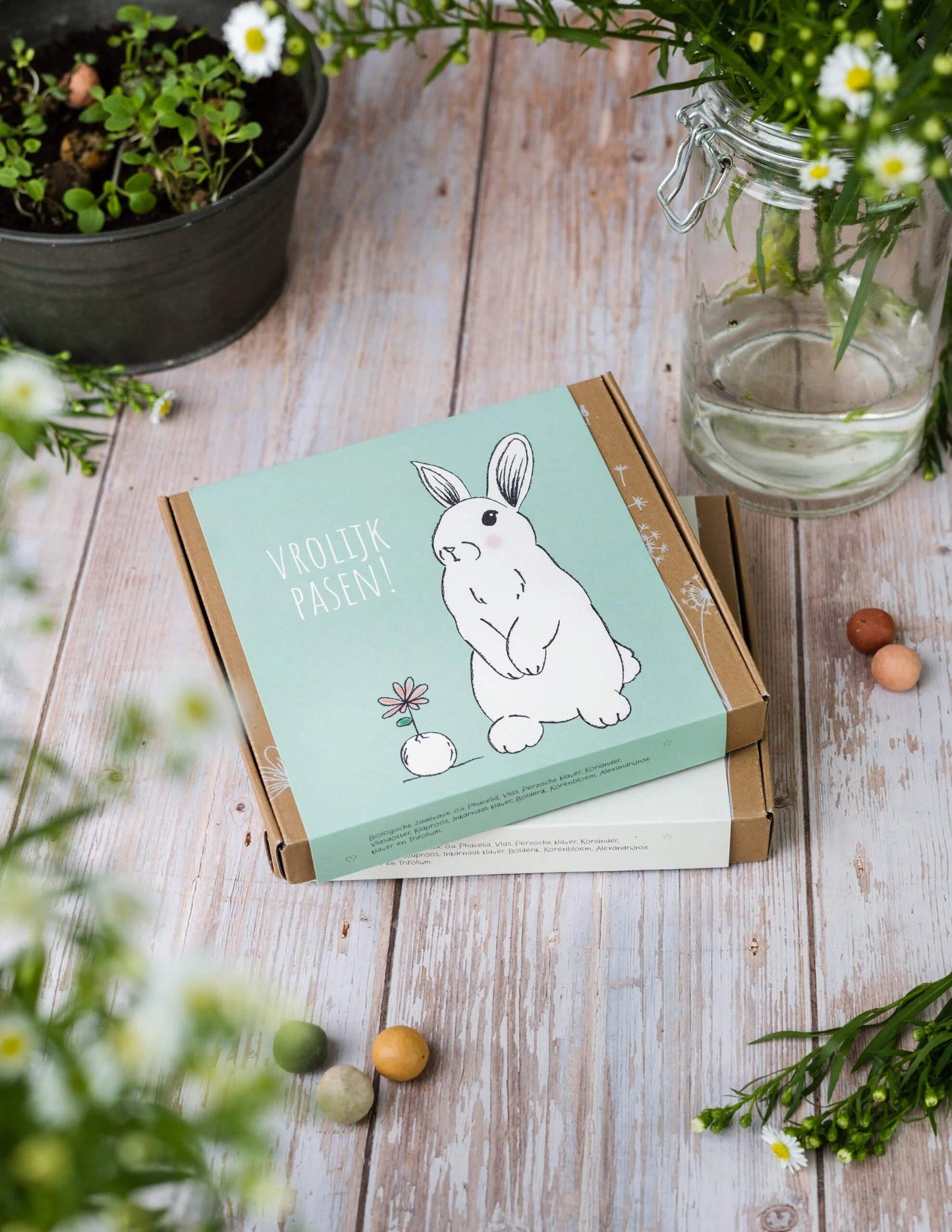 blossombs-giftbox-medium-pasen