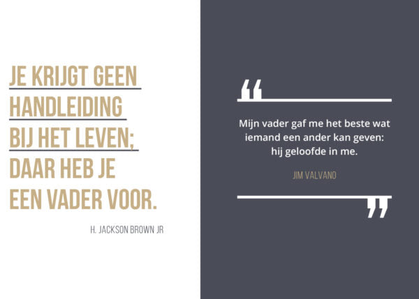dad-in-a million-boek