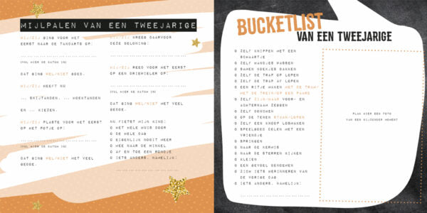 van dreumes tot peuter boek