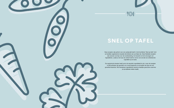 vega snel en simpel boek