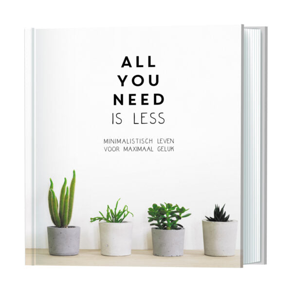 all-you-need-is-less-boek