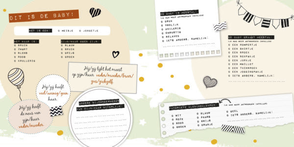 baby- creche-en-oppasboek