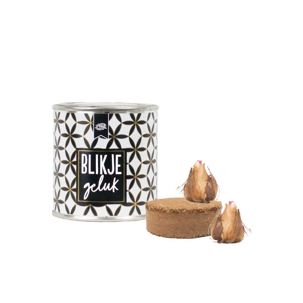 blikje-geluk-klavertje-vier