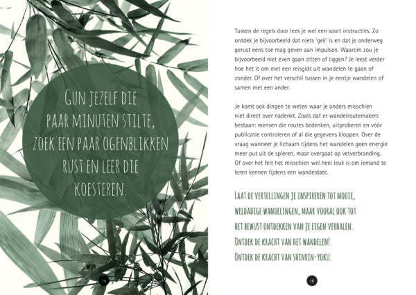 de-kracht-van-wandelen-boek