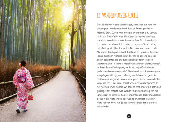 de-kracht-van-wandelen-boek