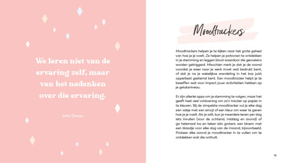 how-to-reset-boek-cadeau3-rosconceptstore