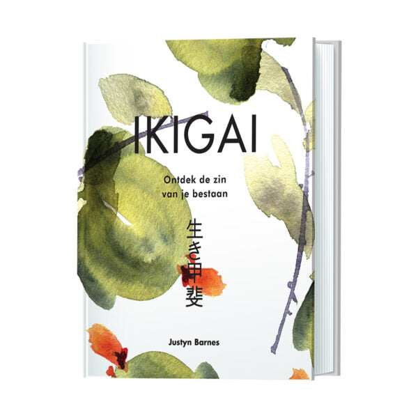 ikigai ontdek de zin van je bestaan