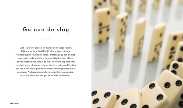 ikigai ondek de zin van je bestaan