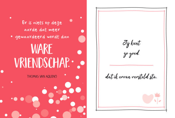 je bent de beste vriendin in de wereld omdat boek