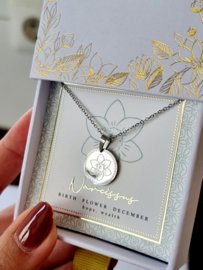 ketting-geboortebloem-december-zilver