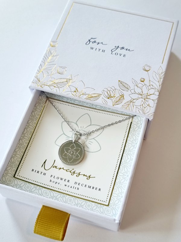 ketting-geboortebloem-december-zilver