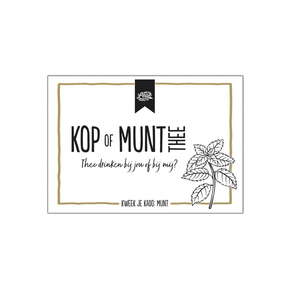 kruiden kop of munt thee