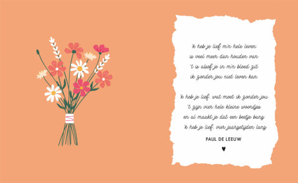 mr-and-mrs-getrouwd-kleur-boek