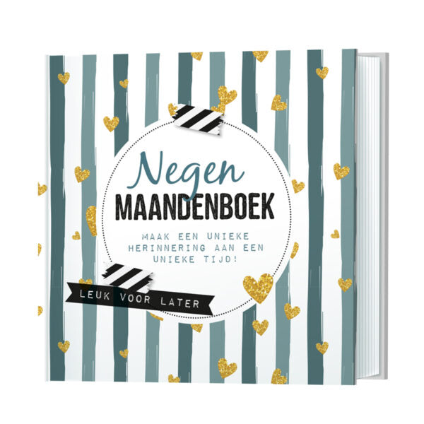 negen maandenboek invulboek