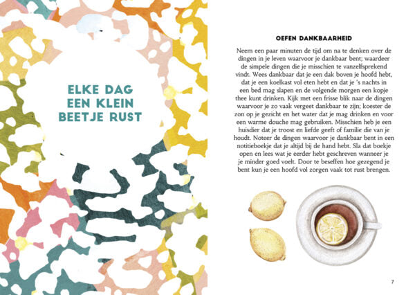 rust-in-je-hoofd-boek