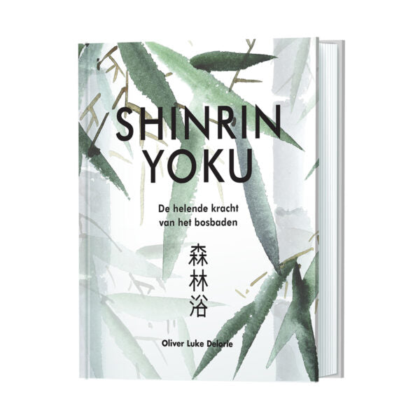 shinrin yoku de helende kracht van het bosbaden
