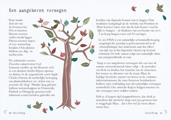 slapen-lifestyle-boek5-rosconceptstore