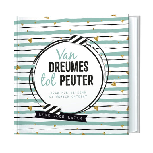 van dreumes tot peuter boek