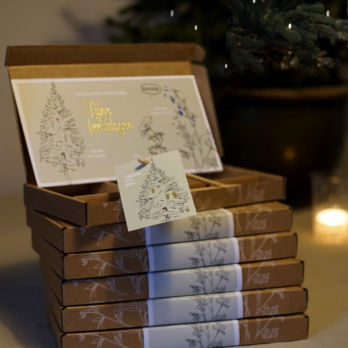 veer_moon-cadeaudoojse-fijne-feestdagen
