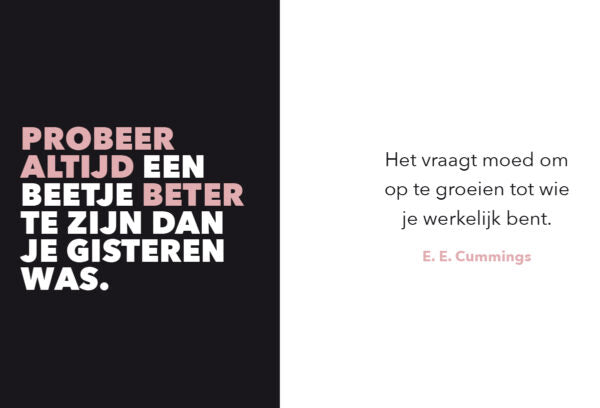 you-can-do-it-boek-cadeau2-rosconceptstore